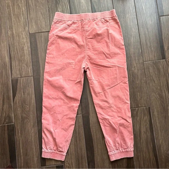Anthropologie Kalea Trouser Corduroy Joggers in Rose Pink Sz L